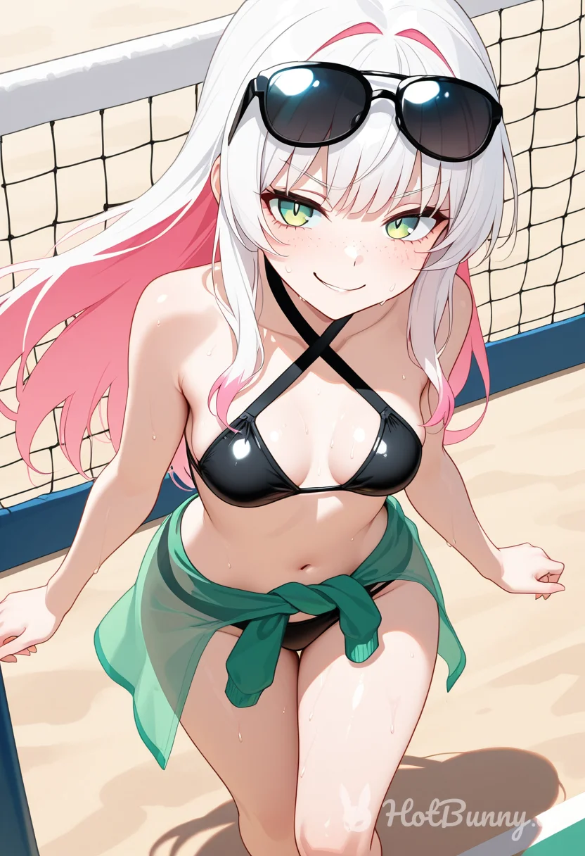 Volleyball court