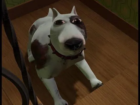 Alpha
